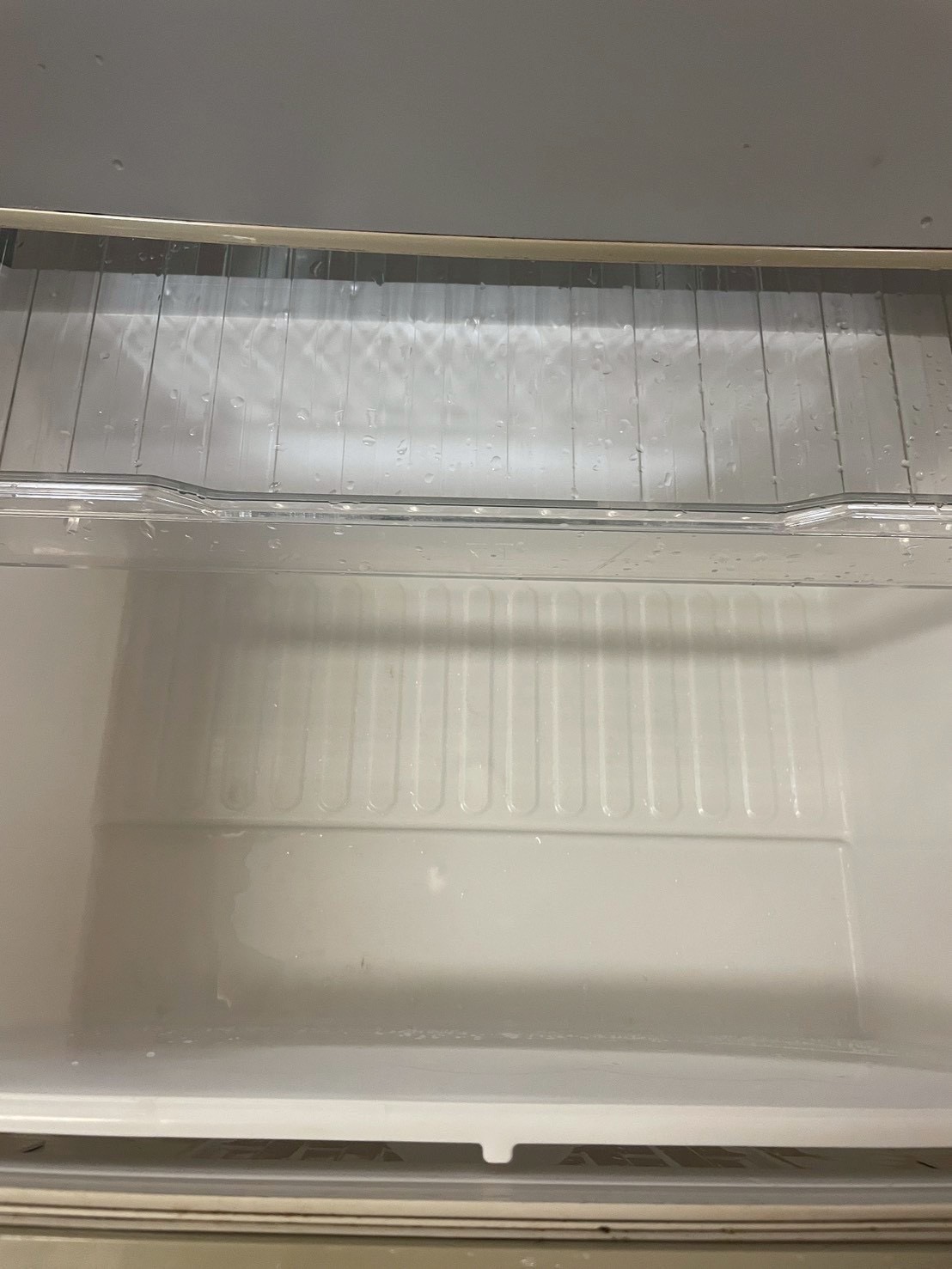 冷蔵庫の汚れ：掃除後（拭き取り後）