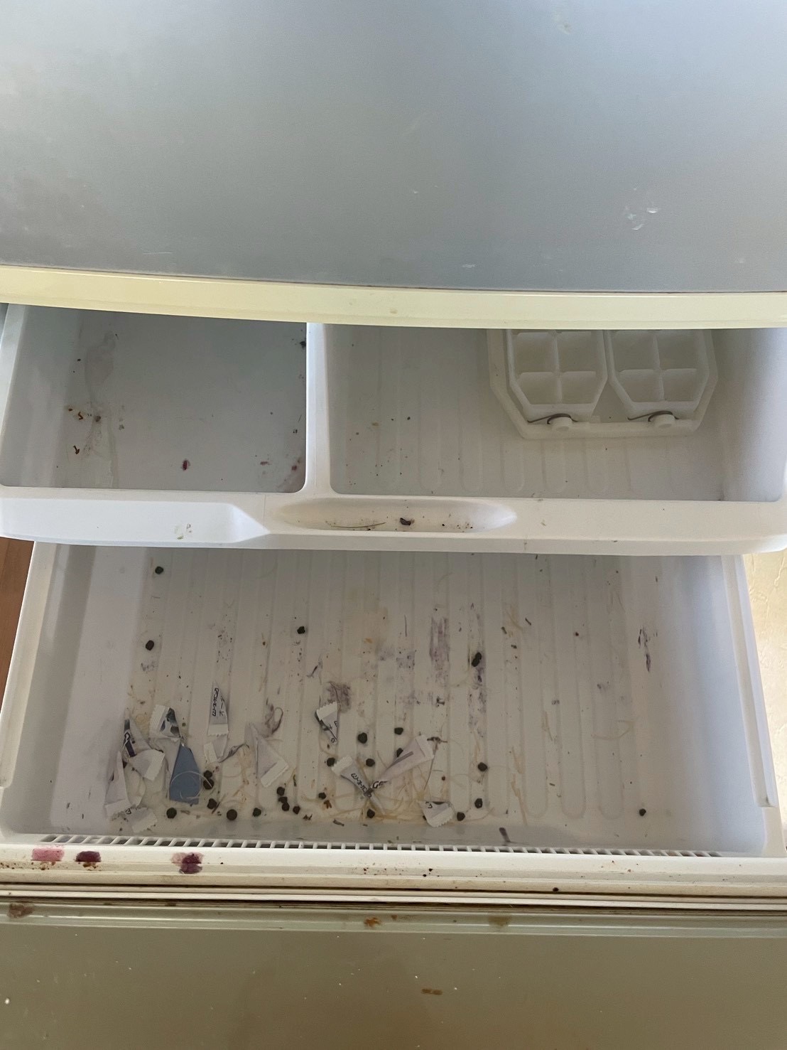 冷蔵庫の汚れ：掃除前（液だれ・野菜くず）